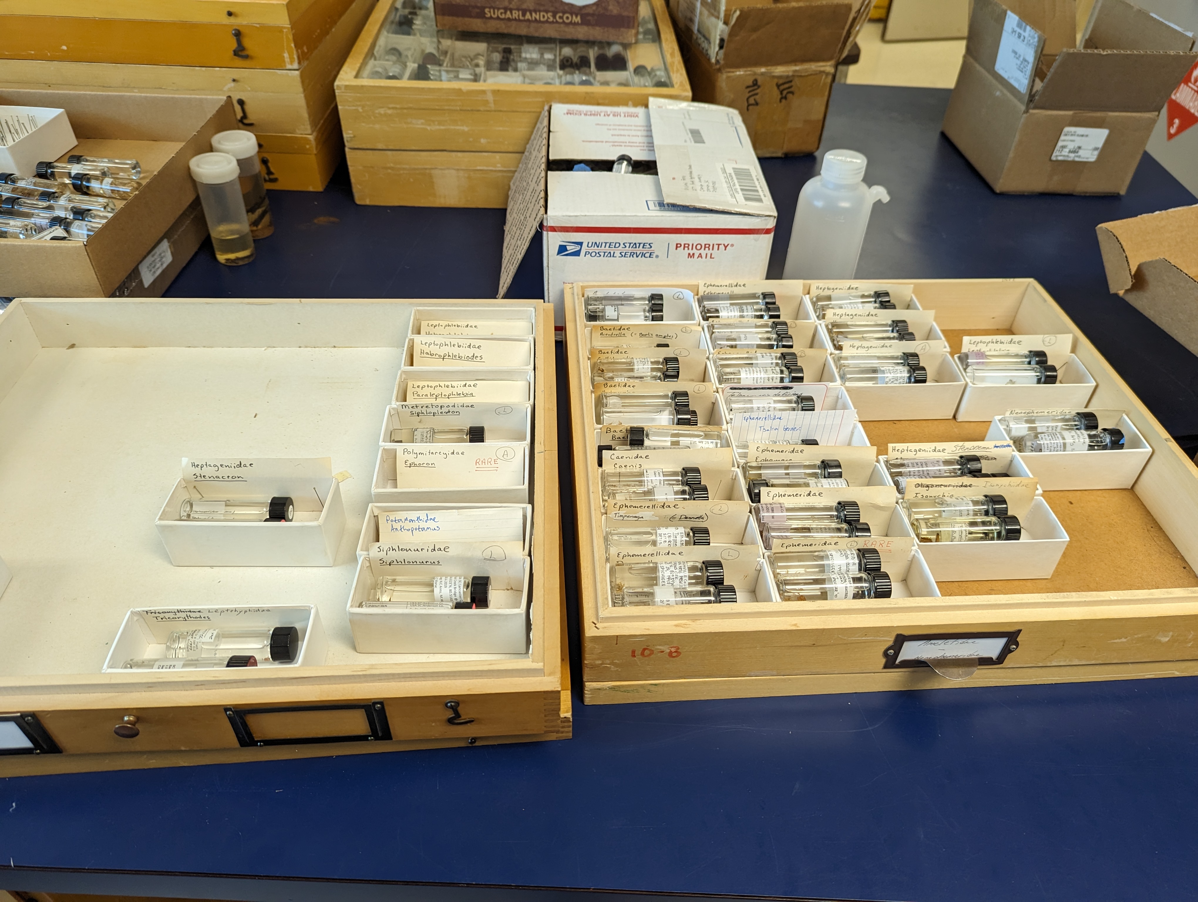 two wooden drawers filled partially with glass vials